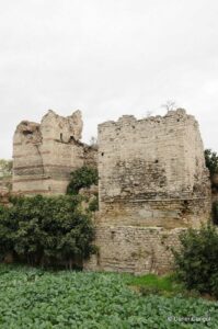 Kara Surları, Ana Sur, T20