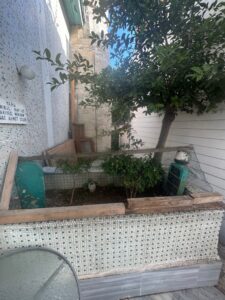 Arkiyeci Ahmet Çelebinin Kabri