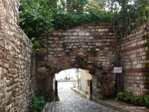 Ahır Kapısı İç Kapı