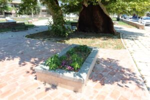 Davud-i Kayseri Türbesi