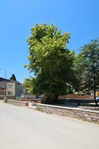 Davud-i Kayseri Türbesi