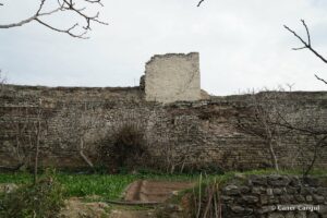 Kara Surları, Ana Sur, T14