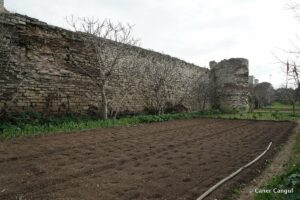 Kara Surları, Ana Sur, T14 Ön Kısmı