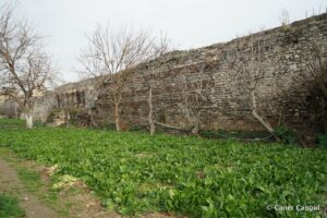 Kara Surları, Ana Sur, T15