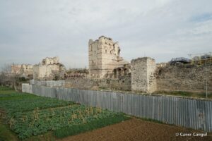 Kara Surları, Ana Sur, T19