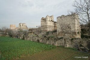 Kara Surları, Ana Sur, T20