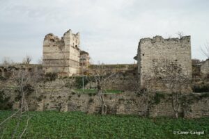 Kara Surları, Ana Sur, T20