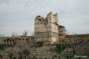 Kara Surları, Ana Sur, T20