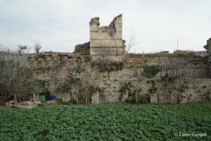 Kara Surları, Ana Sur, T20