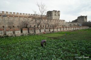 Kara Surları, Ana Sur, T21