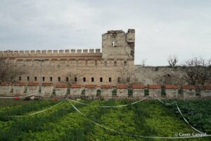 Kara Surları, Ana Sur, T21