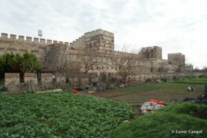 Kara Surları, Ana Sur, T25