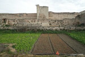 Kara Surları, Ana Sur, T28