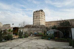 Kara Surları, Ana Sur, T37