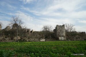 Kara Surları, Ana Sur, T38