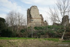 Kara Surları, Ana Sur, T40