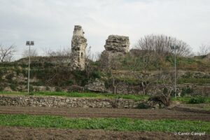 Kara Surları, Ana Sur, T41