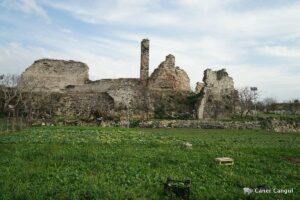 Kara Surları, Ana Sur, T42