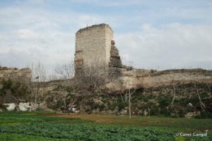 Kara Surları, Ana Sur, T43