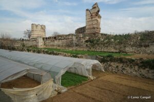 Kara Surları, Ana Sur, T45