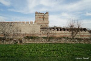 Kara Surları, Ana Sur, T48