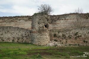 Kara Surları, Ana Sur, T55