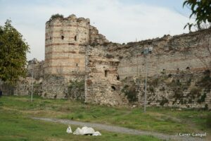 Kara Surları, Ana Sur, T56