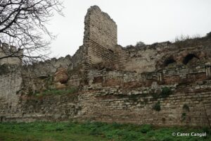 Kara Surları, Ana Sur, T59