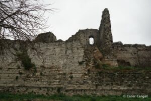 Kara Surları, Ana Sur, T59