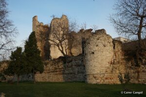 Kara Surları, Ana Sur, T6