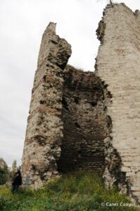 Kara Surları, Ana Sur, T6