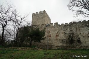 Kara Surları, Ana Sur, T60