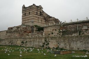 Kara Surları, Ana Sur, T62