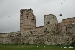 Kara Surları, Ana Sur, T63