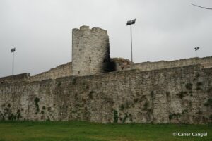 Kara Surları, Ana Sur, T64