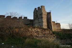 Kara Surları, Ana Sur, T6