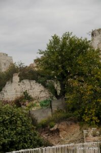 Kara Surları, Ana Sur, T8