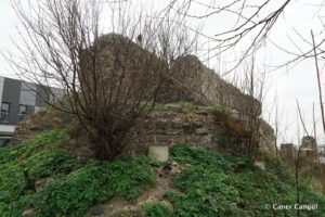 Kara Surları, Ana Sur, T82