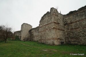 Kara Surları, Ana Sur, T83