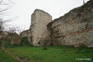 Kara Surları, Ana Sur, T84