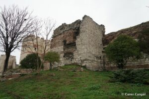 Kara Surları, Ana Sur, T88