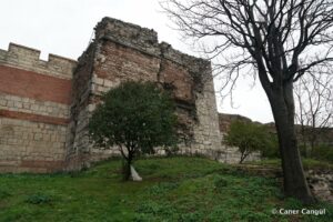 Kara Surları, Ana Sur, T88