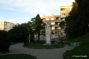 Sultan II. Mahmut Nişan Taşı 2