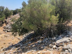 Amos Antik Tiyatrosu