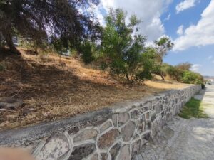 Pitane Antik Tiyatrosu 10 Pitane Antik Tiyatrosu