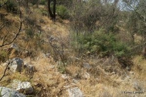 Kastabos Antik Tiyatrosu