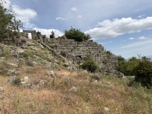 Teke Asarı