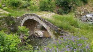 Çakrak Köyü Köprüsü (2), Alucra