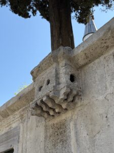Çakırcı Hasan Pasha 清真寺鸟舍