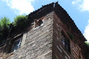 Serpuş Han Kuş Evleri